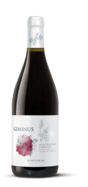 geminus_montepulciano-1