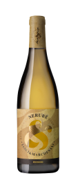 nerube-pecorino-1